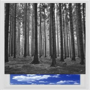 Black and White Forest Digitally Printed Photo Roller Blind