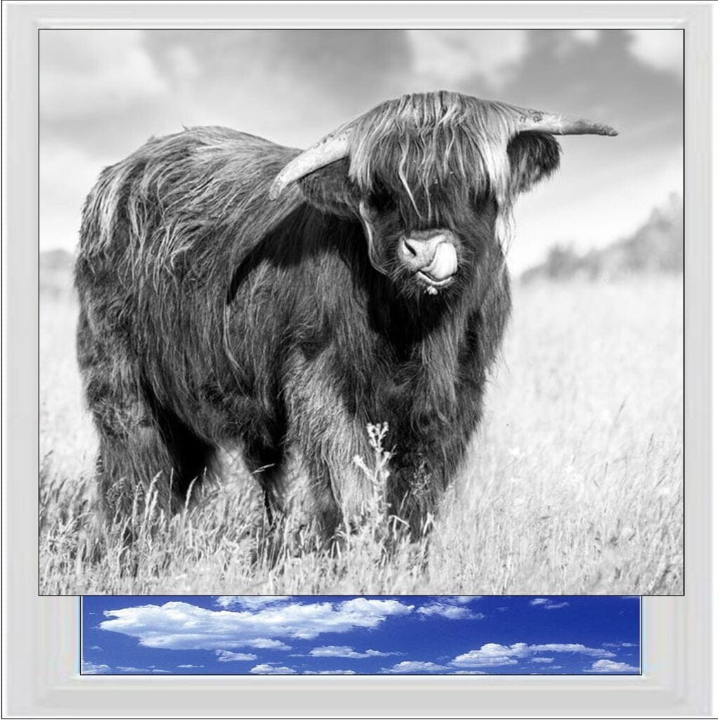 Highland Cow BW Digitally Printed Photo Roller Blind | Create Blinds Online